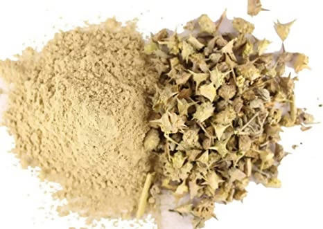 Buy Hebsur Herbals Gokhru (Neglimul) Powder from DrMediCart, Ship from India to USA