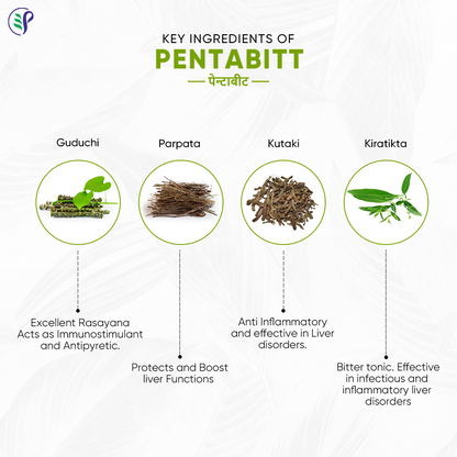 Pathak Ayurvedic Pharmacy Pentabitt Tablets