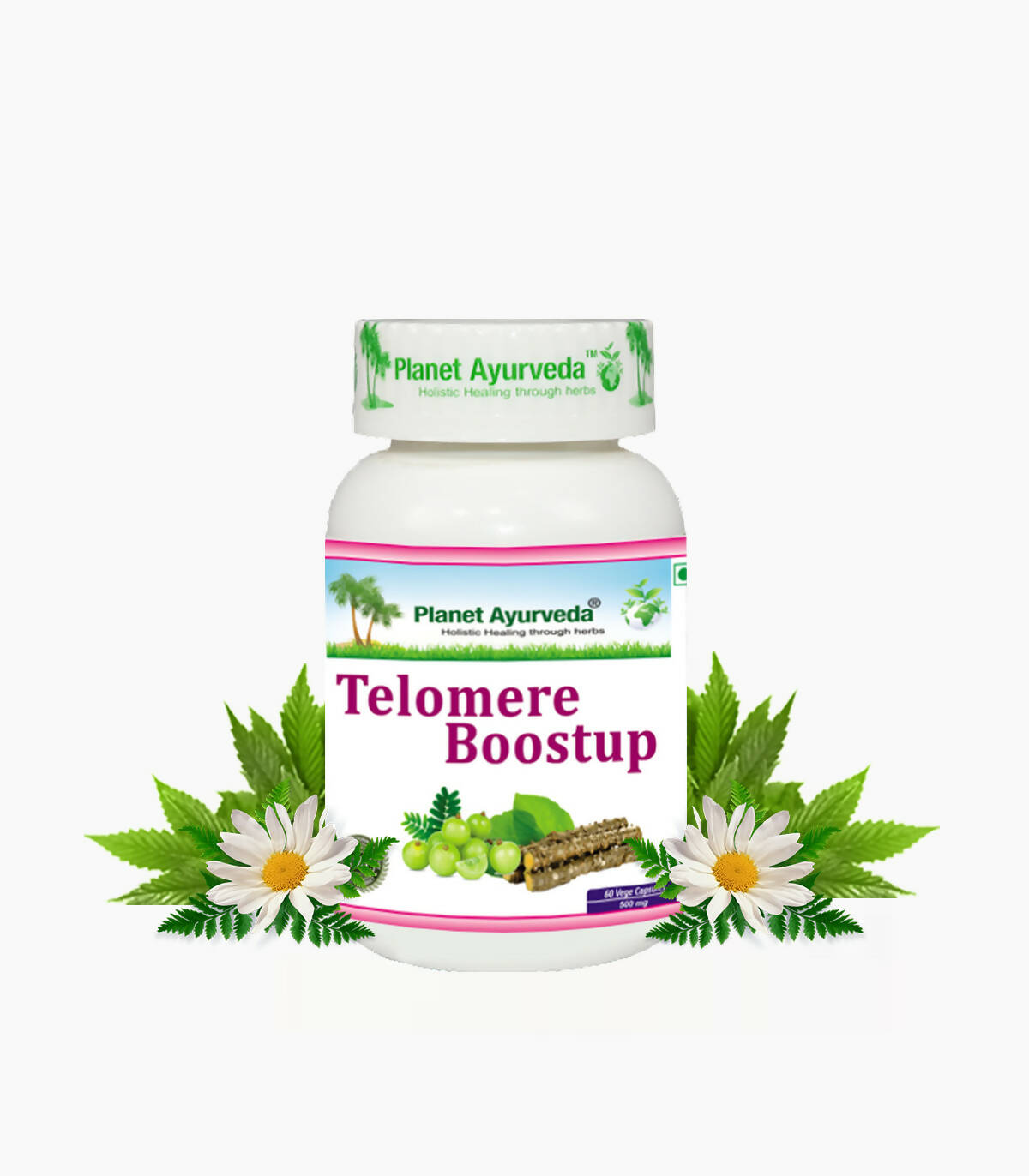 Planet Ayurveda Telomere Boostup Capsules