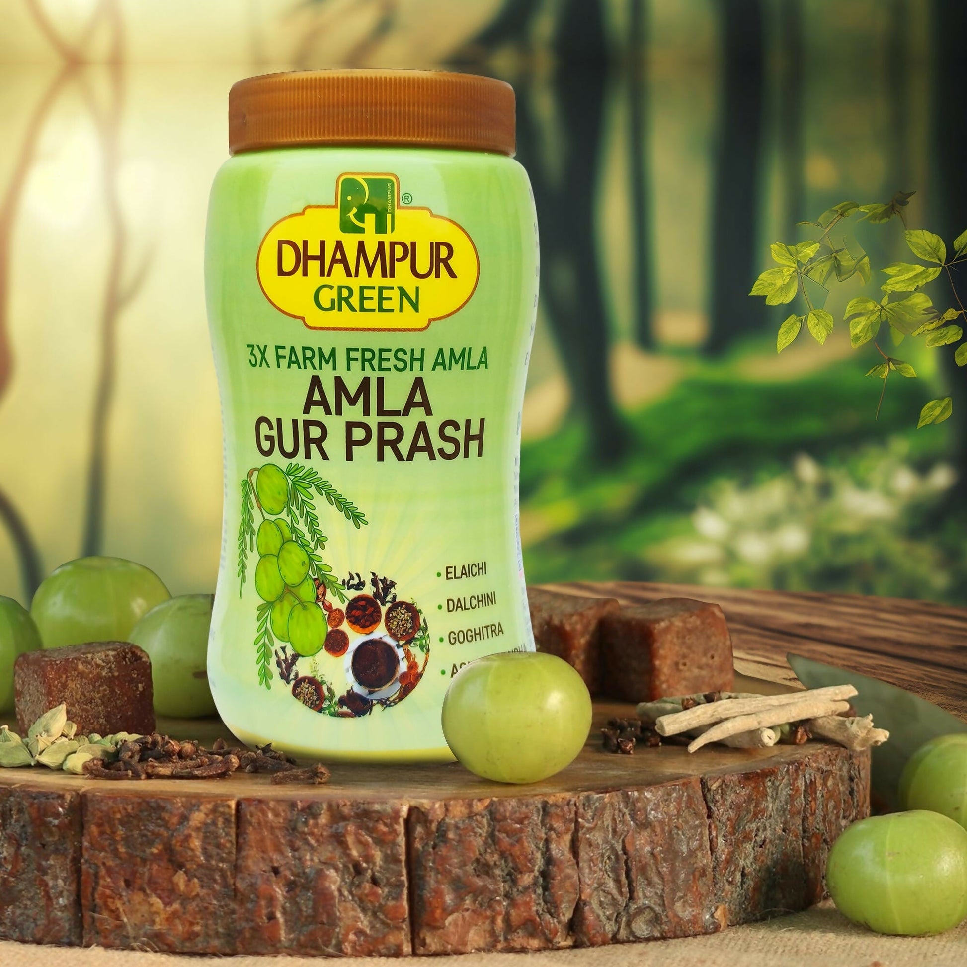 Dhampur Green Amla Gur Prash