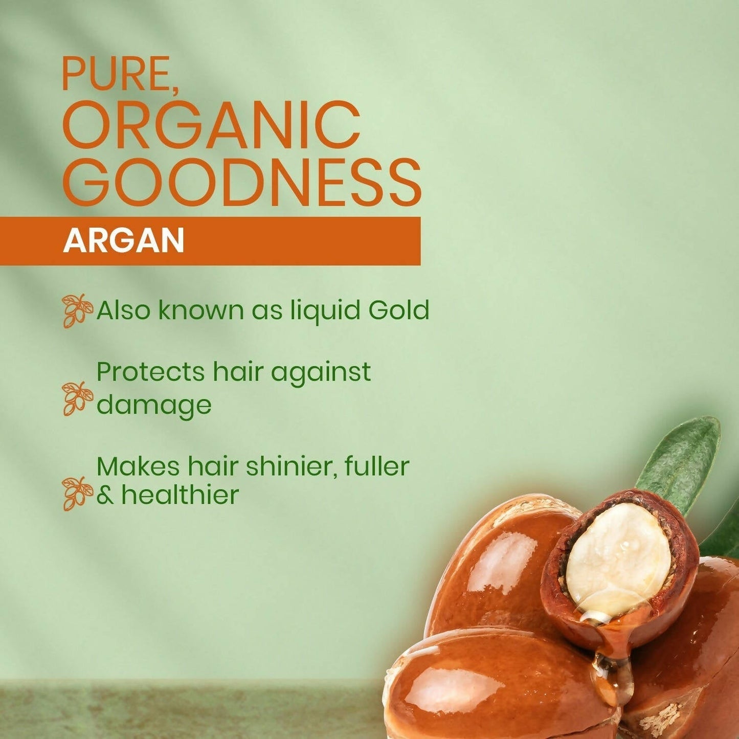 Kesh King Organics Argan Shampoo