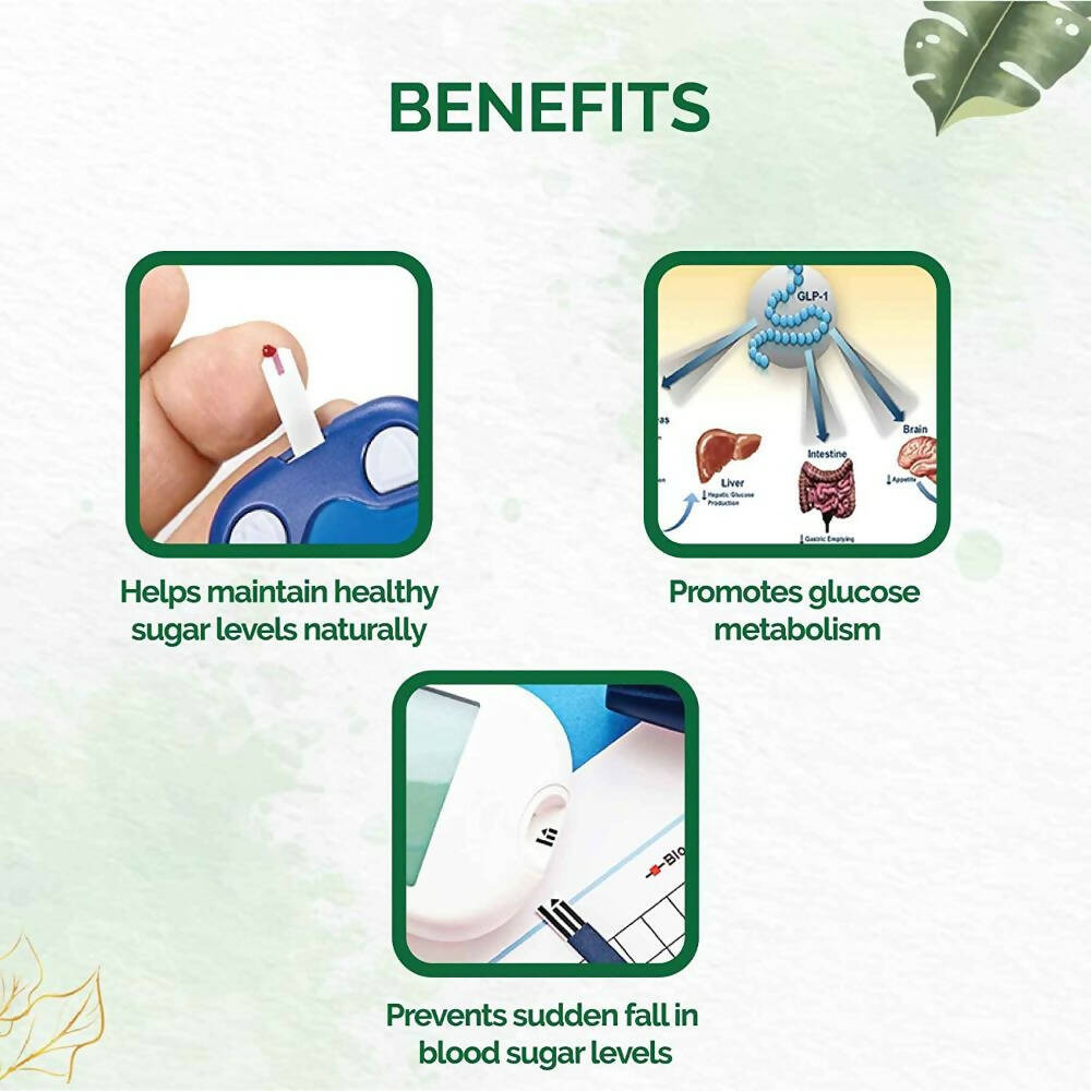 Dr. Vaidya's Diabex Capsules