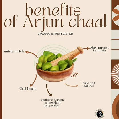 Organic Ayurvedistan Arjun Chaal Powder