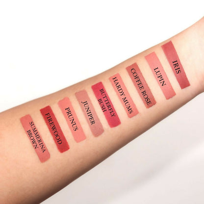 Love Earth Lip Crayon Non-Transfer Lipstick 2.O And Sharpener