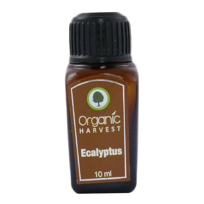 Organic Harvest Eucalyptus Essential Oil