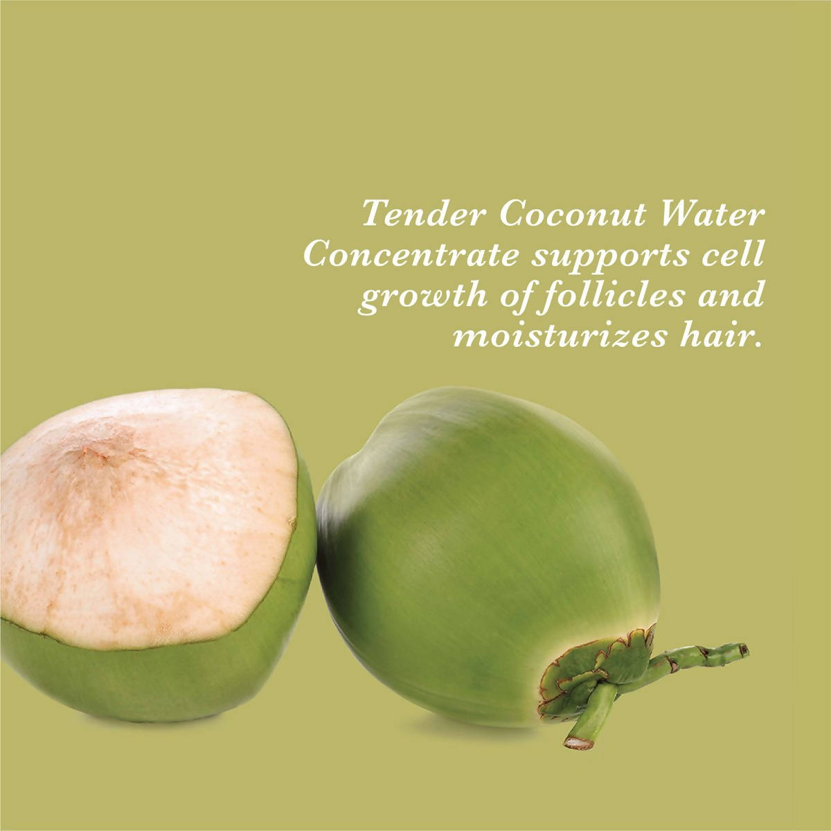True Frog Everyday Hair Conditioner - Drmedicart