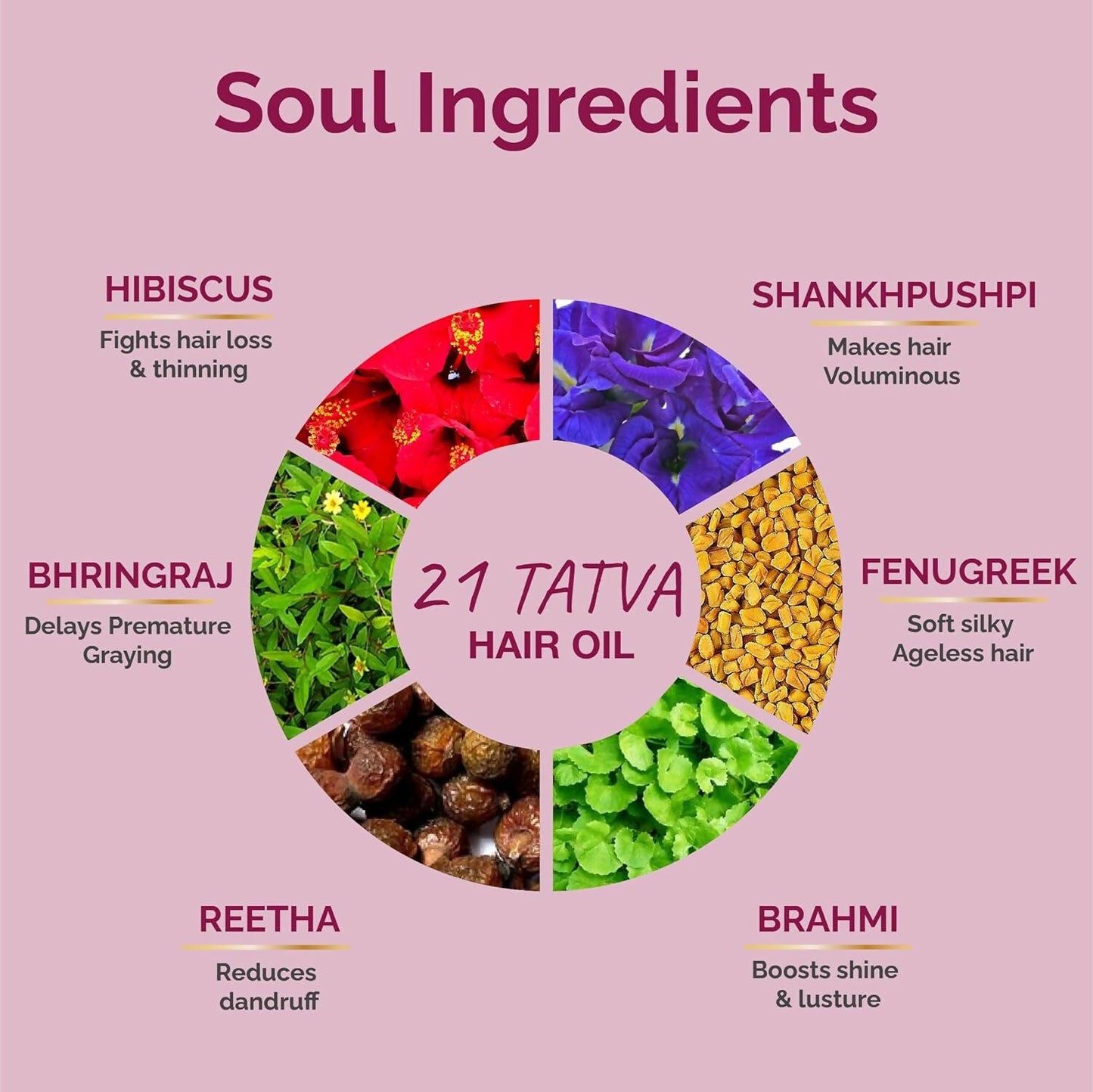 Vedic Valley Ayurvedic 21 Tatva Hair Brew Oil with 21 Herbs