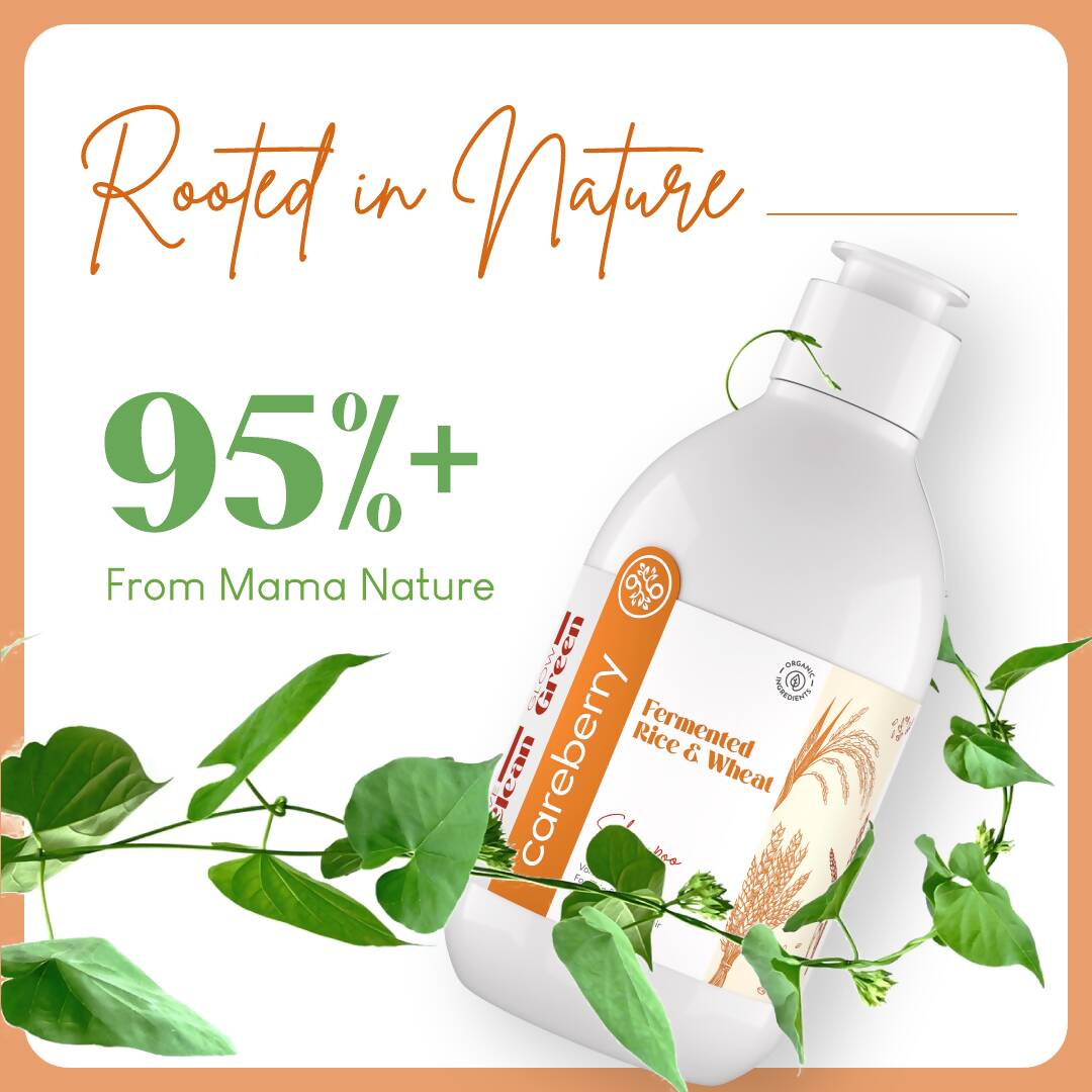careberry rice wheat volumizing shampoo