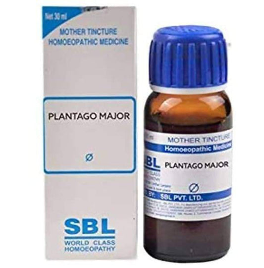 Buy SBL Homeopathy Plantago Major Mother Tincture Q from DrMediCart, Ship from India to USA