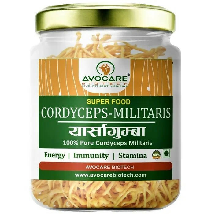 Avocare Biotech Cordyceps Militaris