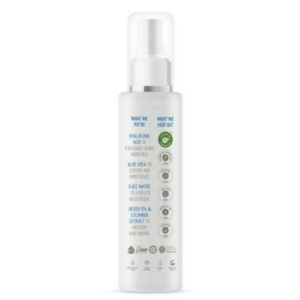 the moms co natural hydrating face mist buy in usa