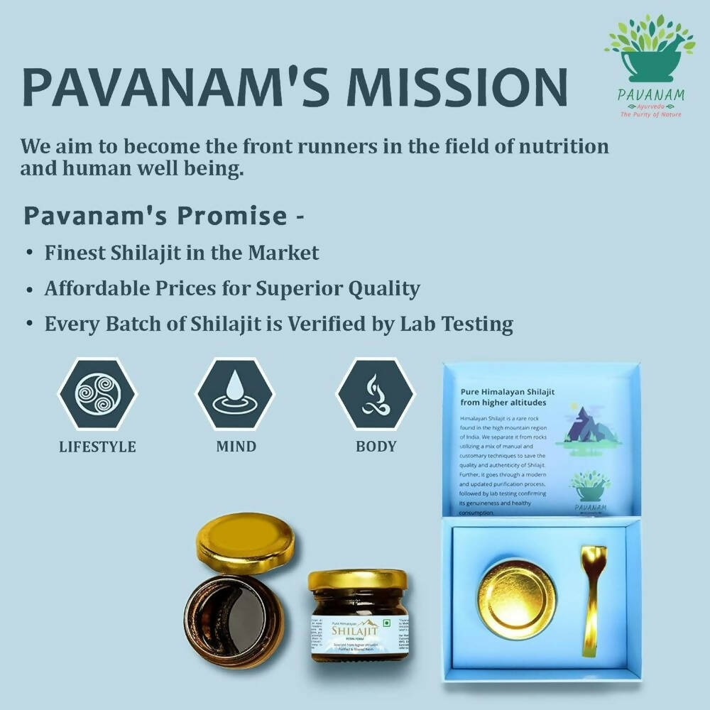 Pavanam Ayurveda Pure Himalayan Sj Resin Form