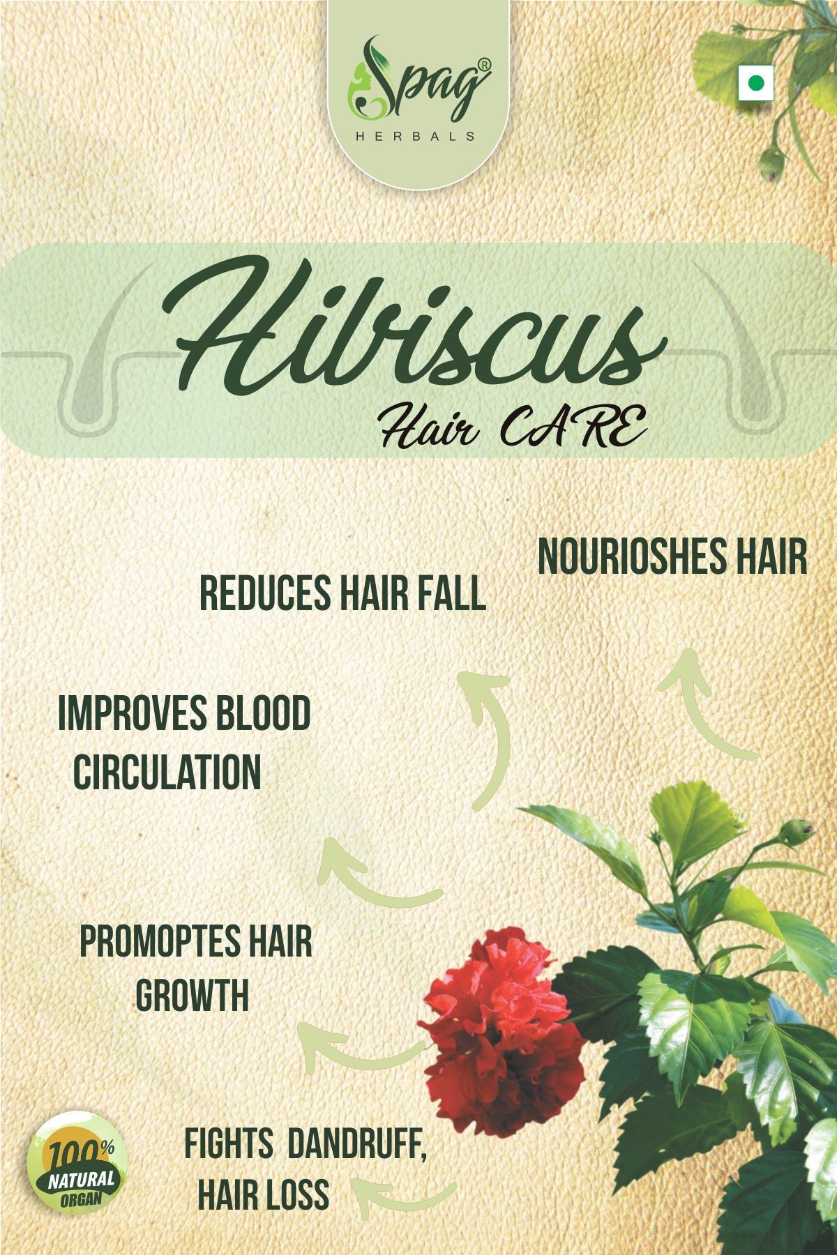 Spag Herbals Premium Hibiscus Leaf Powder