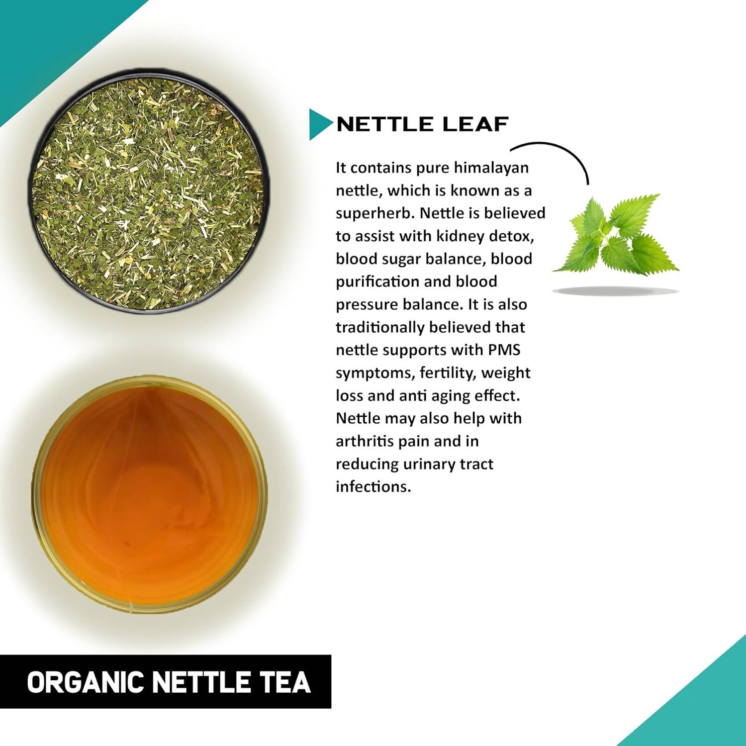 Teacurry Organic Nettle Tea Bags - Drmedicart