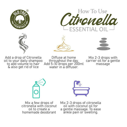 Old Tree Citronella Essential Oil