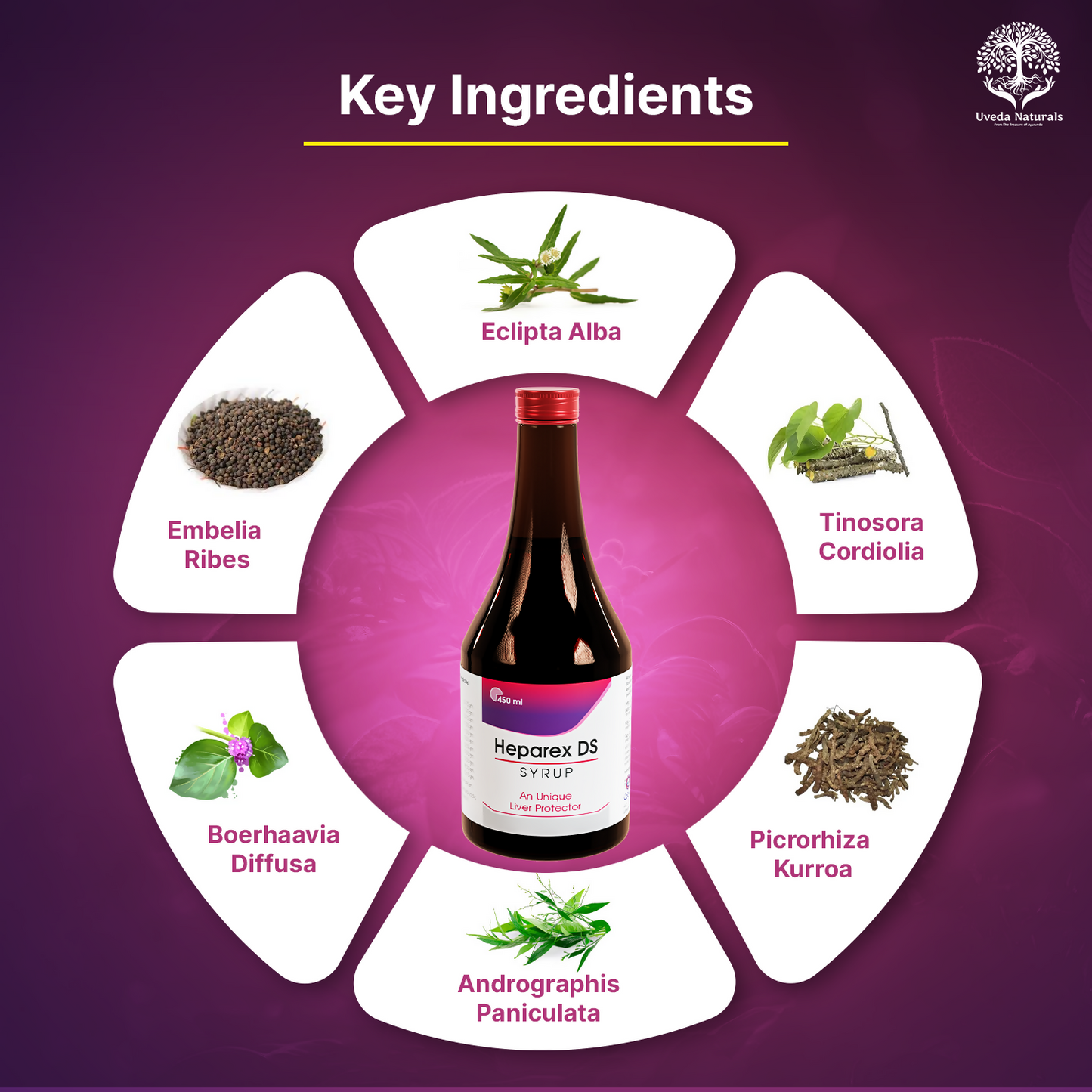 Uveda Naturals Heparex DS Syrup