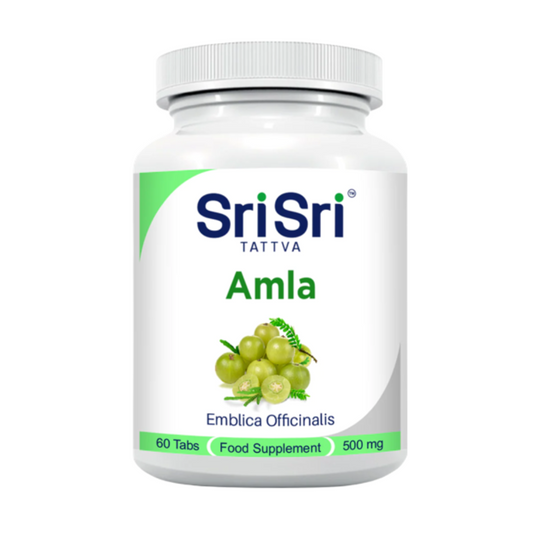 Buy Sri Sri Tattva USA Amla Tablets from DrMediCart, Ship from India to USA