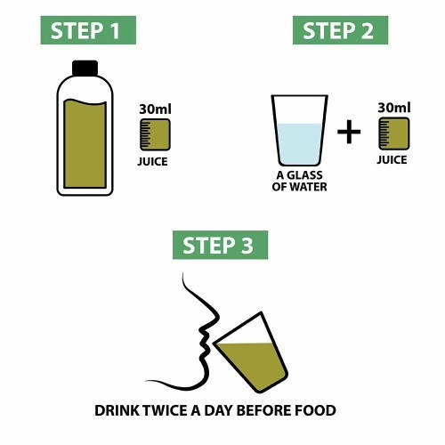 Vitro Naturals Healthy Amla Juice