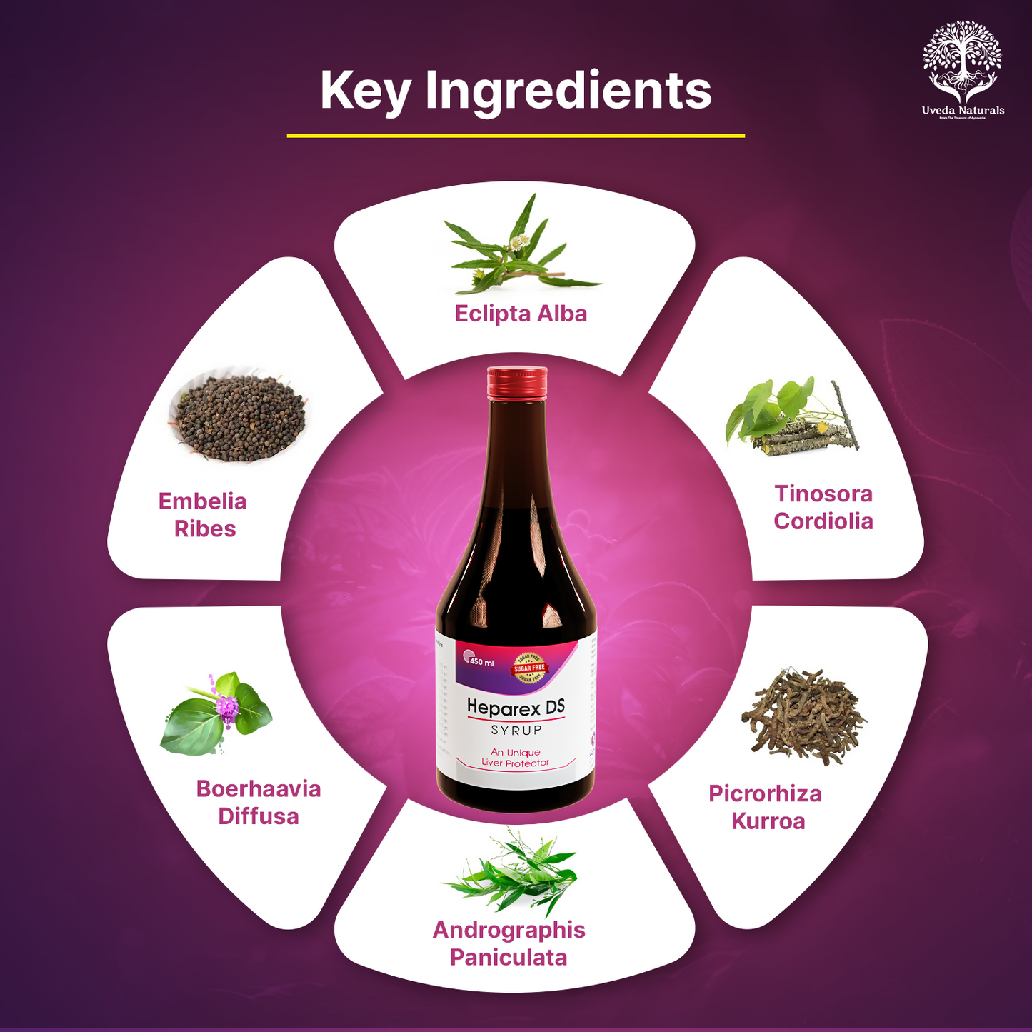 Uveda Naturals Heparex DS Sugar-Free Syrup