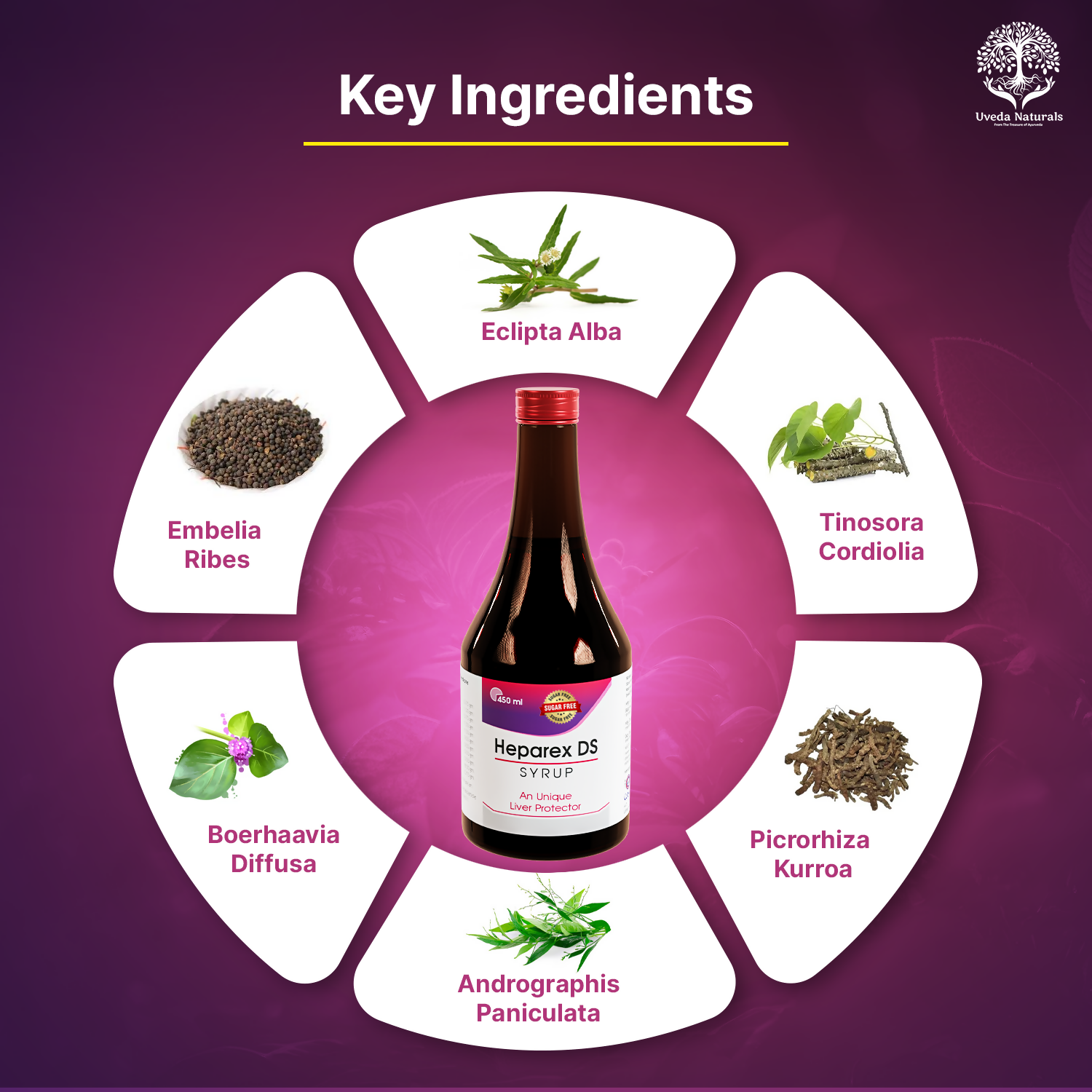 Uveda Naturals Heparex DS Sugar-Free Syrup