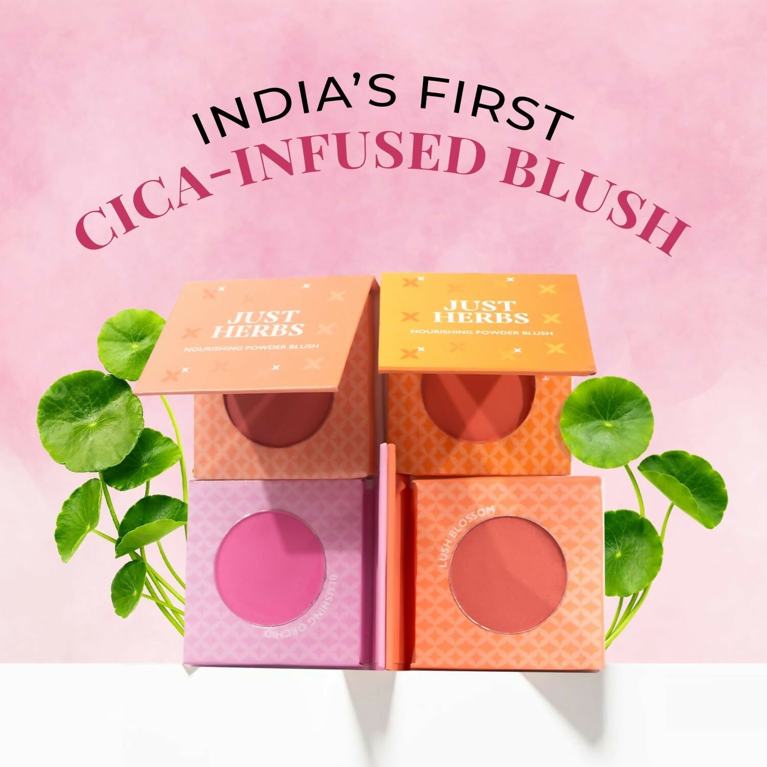 just herbs nourishing powder blush velvet rose buy in usa