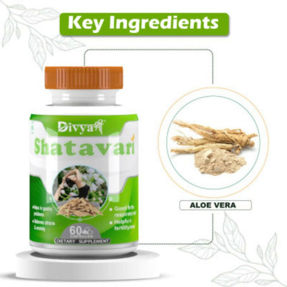 Divya Shree Shatavari Capsules