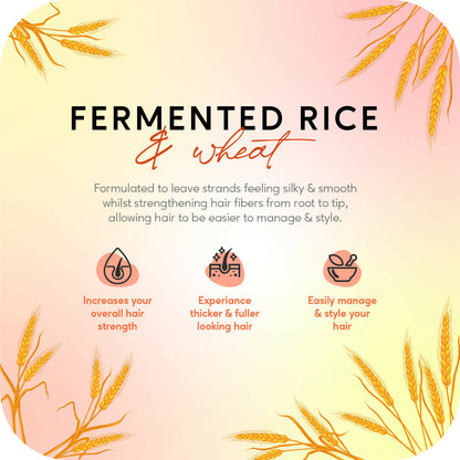 Careberry Fermented Rice Water & Wheat Volumizing Conditioner for Thin and Brittle Hair - DrMediCart