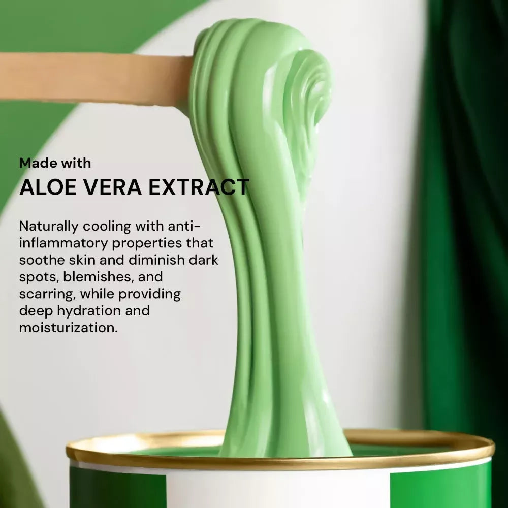 Raaga Professional Liposoluble Wax Aloe Vera