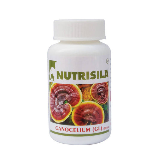 Buy Extasy Nutrisila Gano Celium (GL) Capsules from DrMediCart, Ship from India to USA