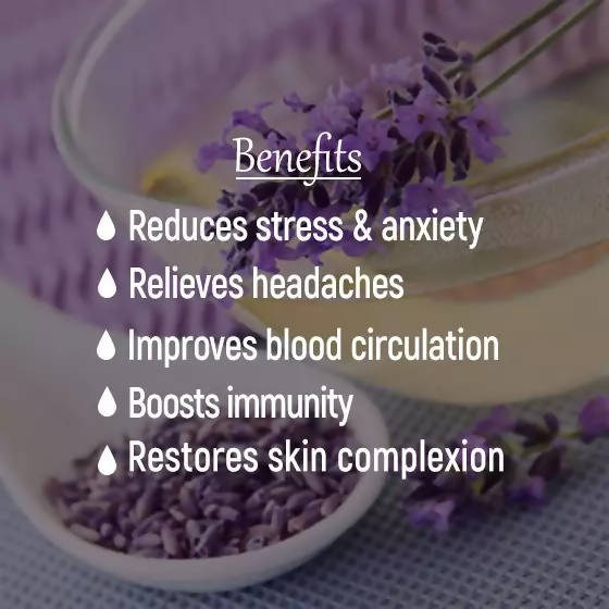 The Wellness Shop Lavender Oil