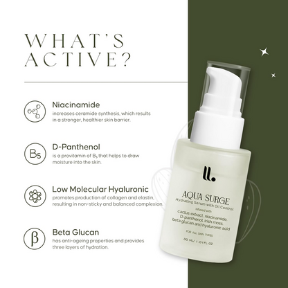 Tone & Tint Aqua Surge Hydrating Serum With Oil Control
