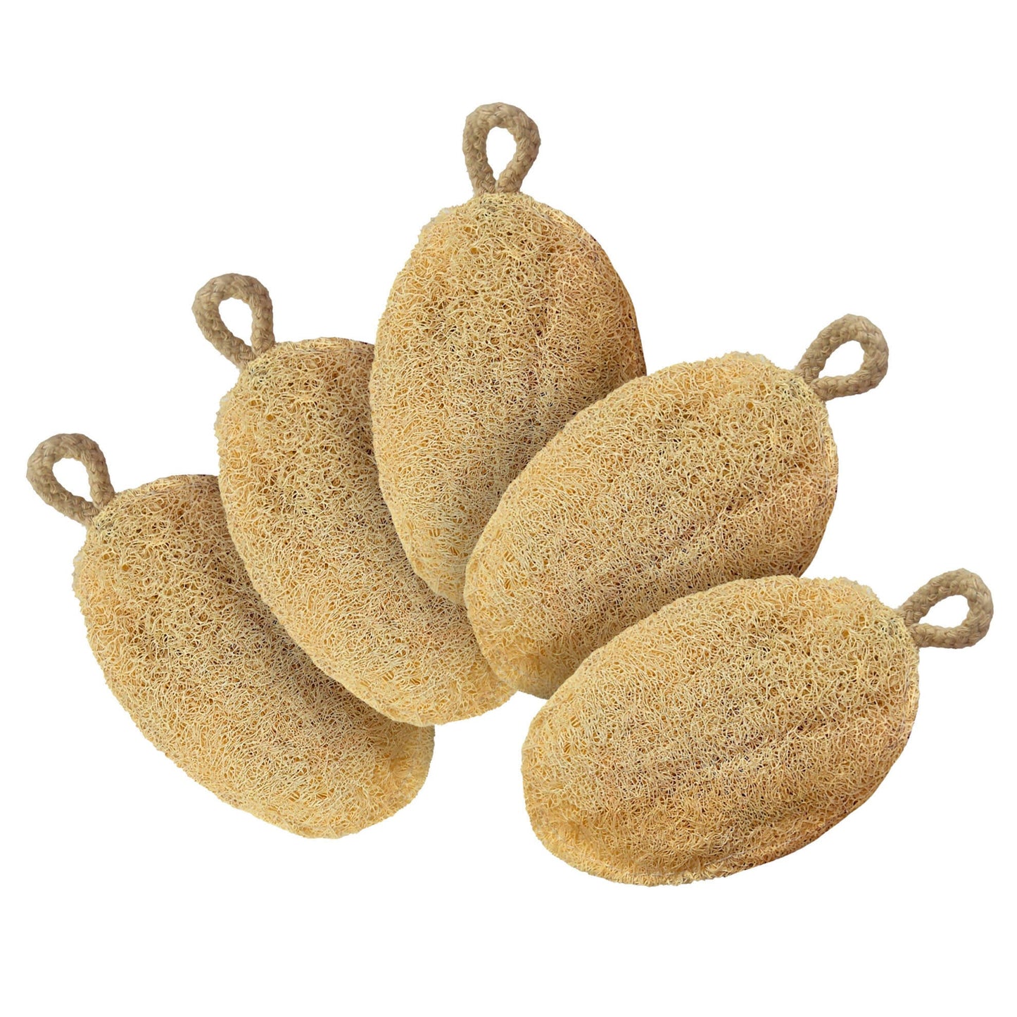 Careberry Earth-Embrace Exfoliating Loofah| Body Sponge Scrubber for Bathing | Bath Luffa Sponges