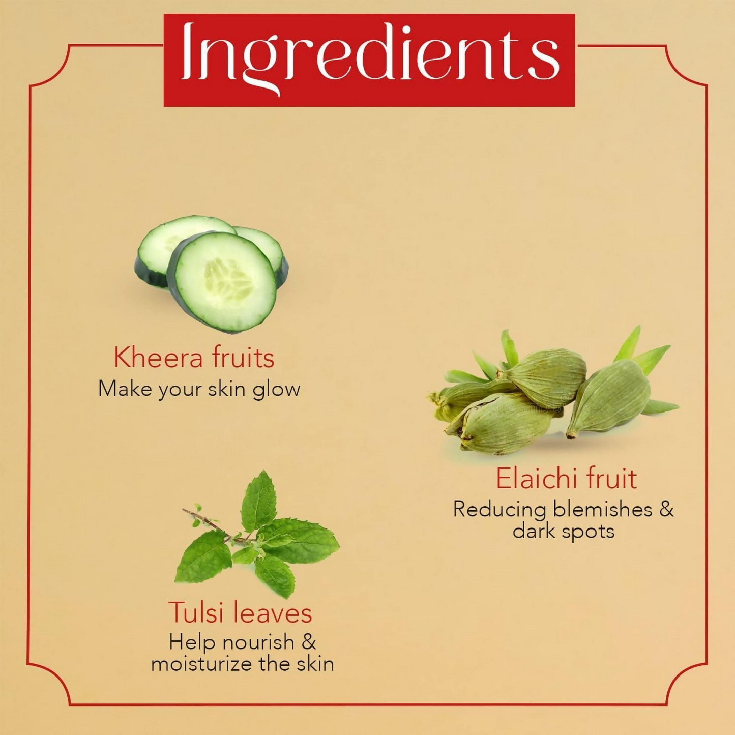 Sara Soul of Beauty Eladi Ayurvedic Hydrating Day Cream