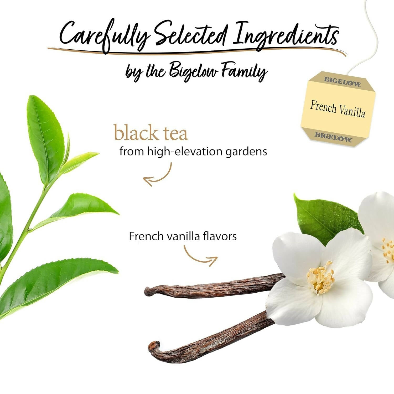 Bigelow Tea French Vanilla Black Tea Caffeinated Freshness & Aroma Caffeinated