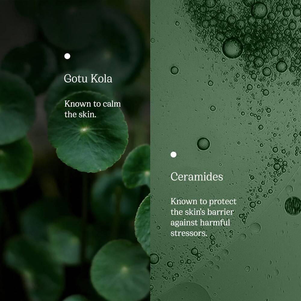 82°E By Deepika Padukone Moisturiser With SPF 40 PA+++ With Gotu kola and Ceramides, Hydrates Skin