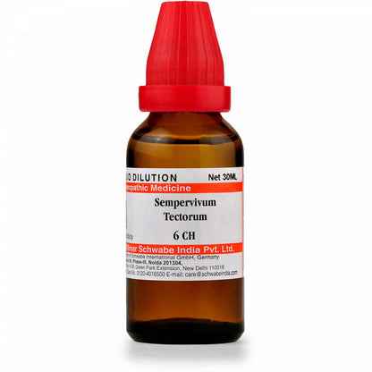Buy Dr. Willmar Schwabe India Sempervivum Tectorum Dilution from DrMediCart, Ship from India to USA