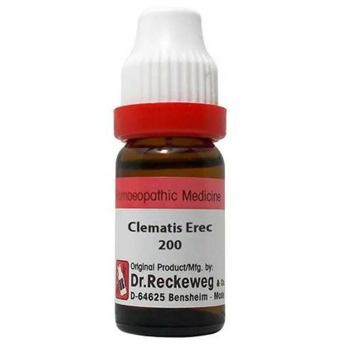 Dr. Reckeweg Clematis Erec Dilution