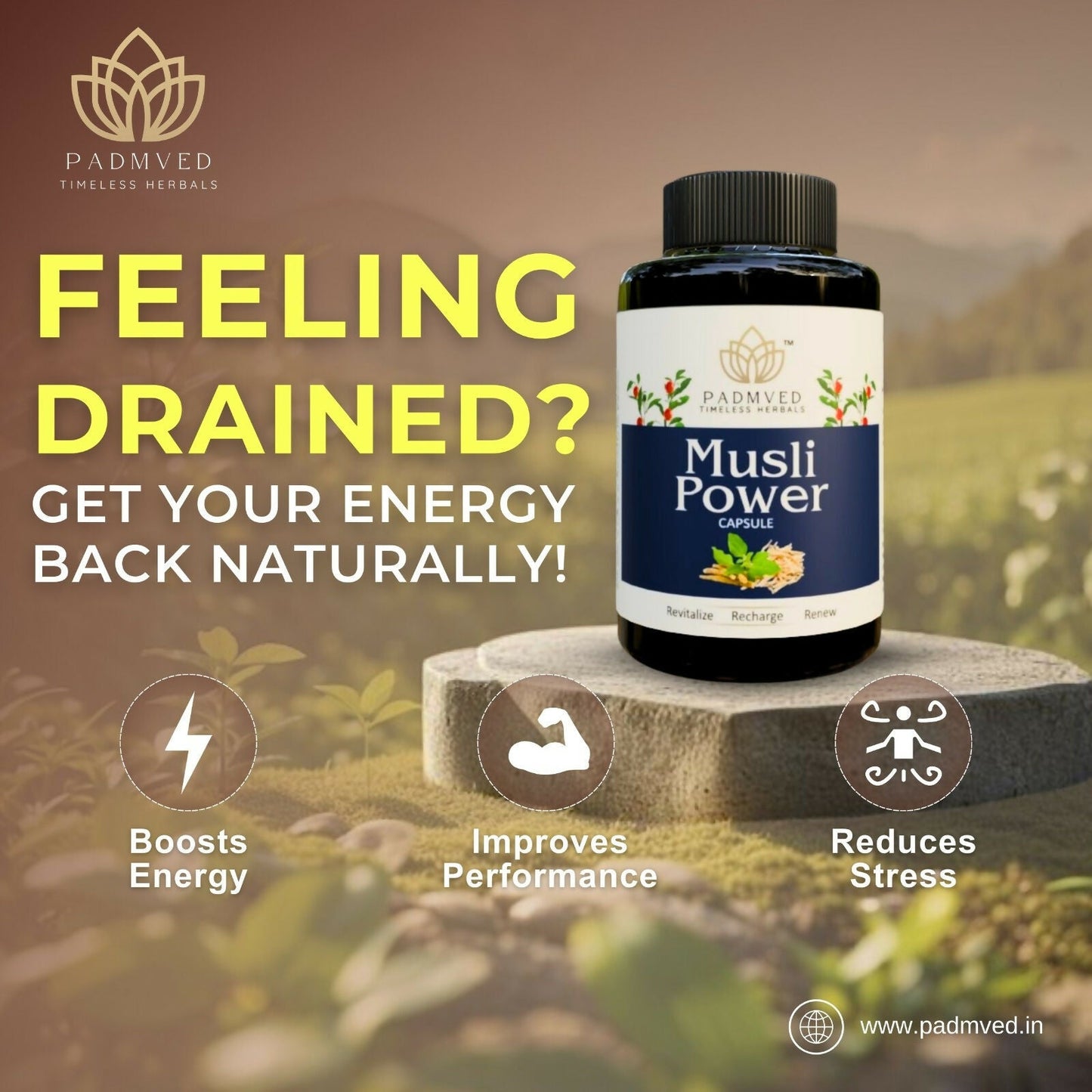 Padmved Musli Power Capsules