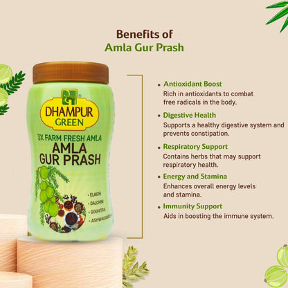 Dhampur Green Amla Gur Prash