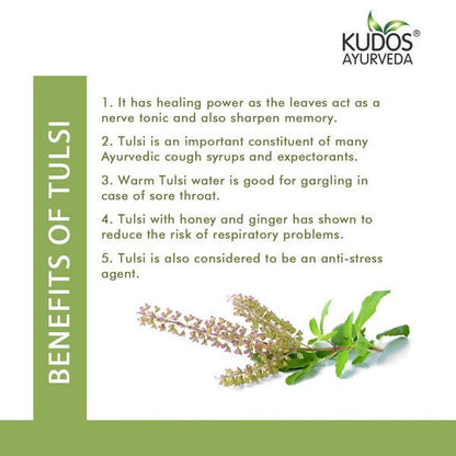Kudos Ayurveda Tulsi Amrit