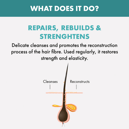 Alfaparf Milano Reparative Shampoo For Hairfall Repair