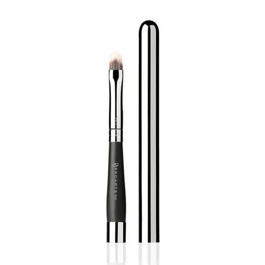 Buy Proarte Retractable Lip Brush PL-37 from DrMediCart, Ship from India to USA