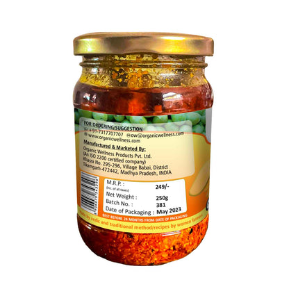 Buy Organic Wellness Mango Pickle from DrMediCart, Ship from India to USA