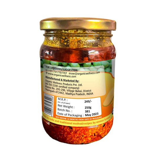 Buy Organic Wellness Mango Pickle from DrMediCart, Ship from India to USA