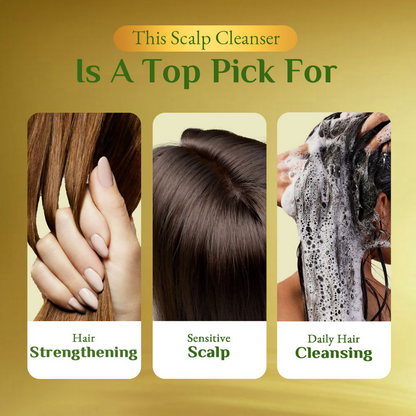Richfeel Scalp Cleanser - Dandruff Control Hair Fall