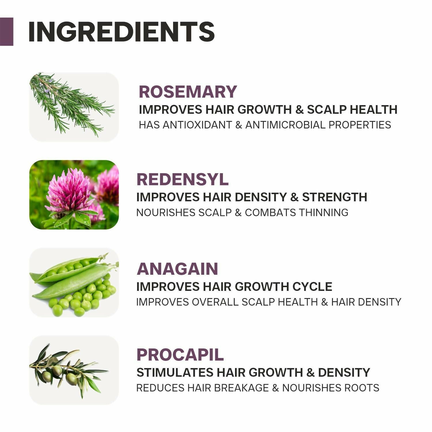 Dermatouch Rosemary Water Hair Growth Spray
