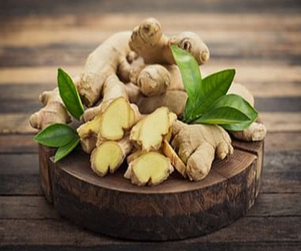 Nagarjuna Ayurveda Sahacharaadi Kashayam