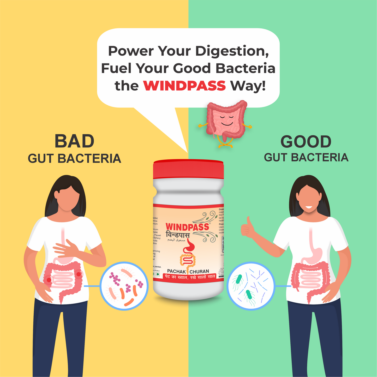 Satya Pharmaceuticals Ayurveda Windpass Pachak Churan