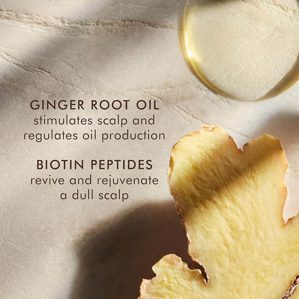 Moroccanoil Oily Scalp Treatment For Oily, Imbalanced Scalps