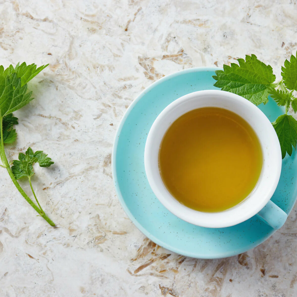 Oilcure Nettle Leaves